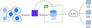 AWS Transit Gateway Connect